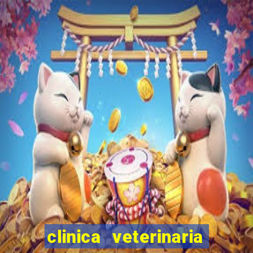 clinica veterinaria cuidar betim